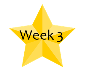 WK 3
