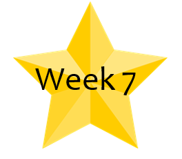 WK 7